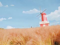 -羊亭河湿地公园