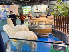 -上海大自然野生昆虫馆(东方明珠·爬宠昆虫探索中心)