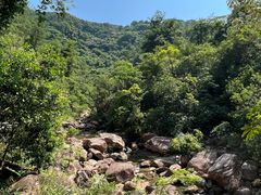 -广州白江湖森林公园