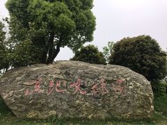 -长兴太湖图影湿地文化园