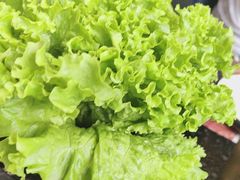 -四斤烤肉(东戴河孟家店)