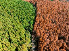 -山王坪喀斯特国家生态公园