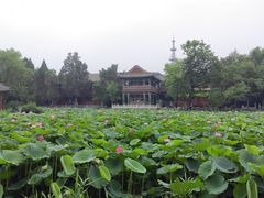 -莲池书院博物馆