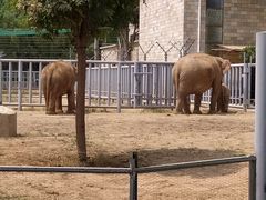 -石家庄市动物园