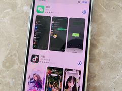 -Apple零售店(苏州店)