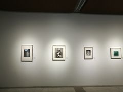 -龙环葡韵住宅式博物馆