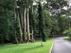 -中国科学院西双版纳热带植物园