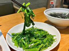 蒜泥空心菜-金海湾海鲜排档(朱家尖店)