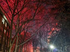 -西安石油大学(雁塔校区)