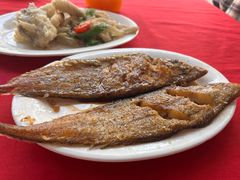 -蛇口康乐快餐鱼仔档(翠苑小区店)