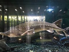 -河川生态园
