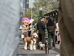 -深圳湾万象城(南山店)