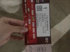 -八万人体育馆-外场足球场