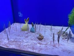 -石家庄极地海洋世界