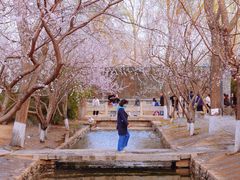 -三里河公园