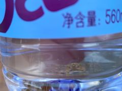 -日照海滨国家森林公园