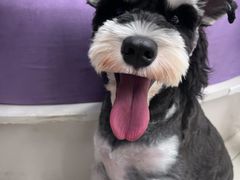 -怪兽屋·羊驼·猫咖·狗咖(俊华广场店)