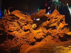 -乐山乌木文化博览苑