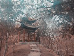 -晋祠公园