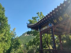 -佛慧山
