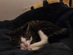 -陆记牛庄·碳锅龙虾烧烤(爱上花园店)