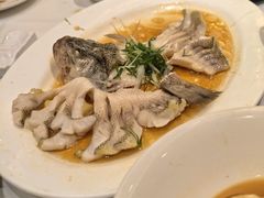 -稻香酒家·35年老字号(侨光店)