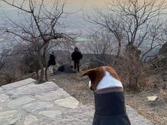 -鬼笑石后山停车场