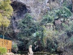 -龙宫洞风景区