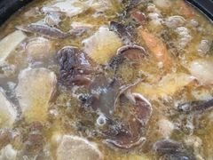 -蘑统田下·野生菌火锅