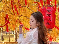 -可可托海景区