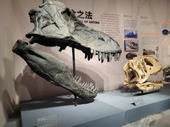 -自贡恐龙博物馆