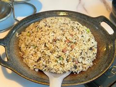 -蘑统田下·野生菌火锅