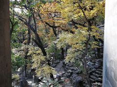 -北京鹫峰国家森林公园