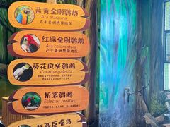 -海合安武汉极地海洋公园