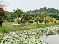 -东莞植物园