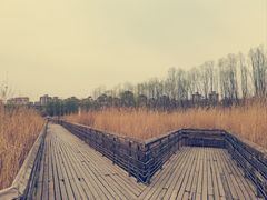 -马家湾湿地公园