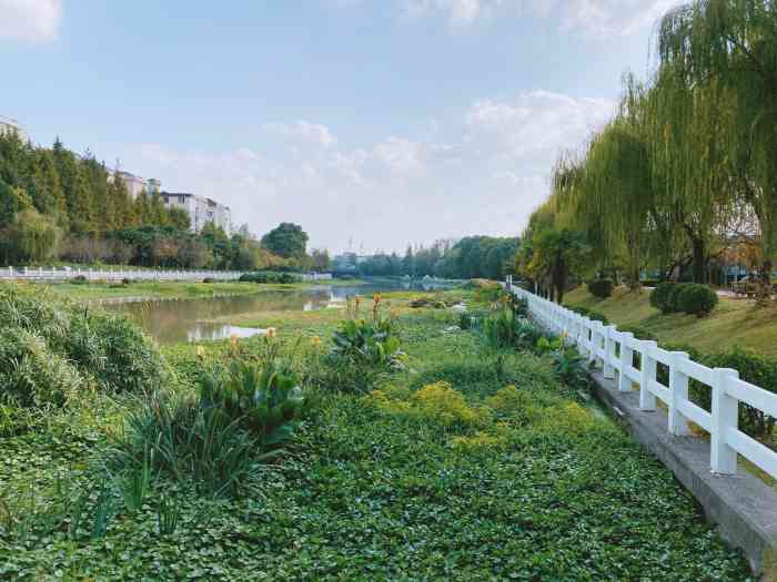 普陀体育公园-"这个公园环境挺好的,早晚散步晨跑的人非常.