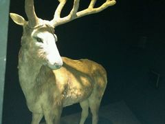 android_upload_pic-溱湖国家湿地公园