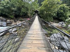 -石台牯牛降景区
