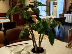 -君思港湾(富强店)