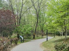 -北极寺公园
