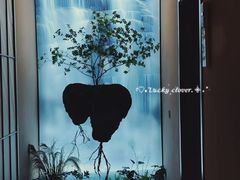 -宫七SPA·高端Massage(浦东大道店)