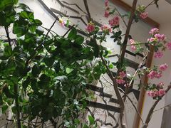 -十二饭点·川菜(北站圆融店)