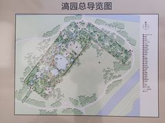 -上海滨江森林公园