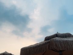 -太阳岛沙滩泳场水上乐园
