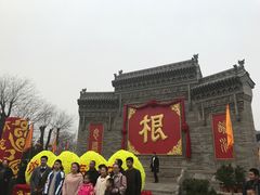 -大槐树寻根祭祖园