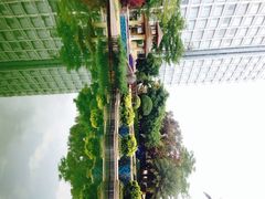 澄江抚仙湖悦椿度假酒店-抚仙湖万达文华酒店