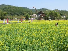 -红山村