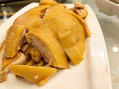 白斩鸡-顺风海鲜港(长寿路店)