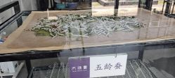 -太湖雪蚕桑文化园